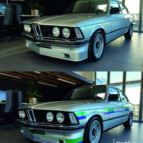 alpina decor zeichenfläche 1 kopie 5