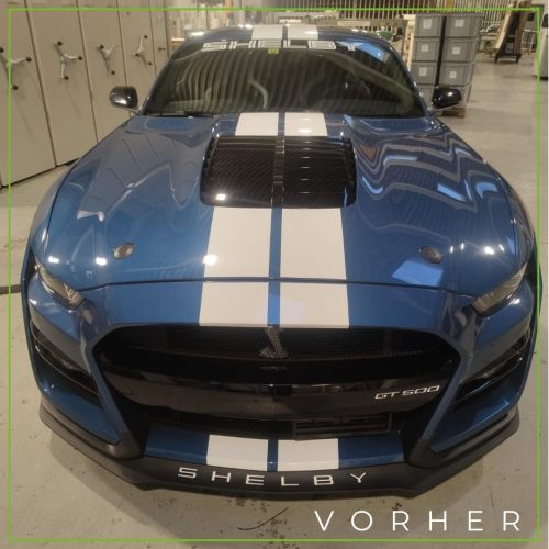 whatsapp image 2024 03 09 at 12.22.52 (1)