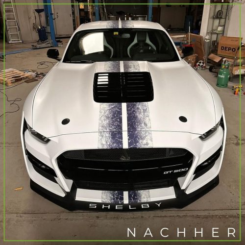 whatsapp image 2024 03 09 at 12.22.52 (3)